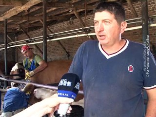 Uvoz smanjio cenu mleka, 29. jul 2015. (RTV Bor)