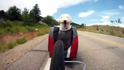 Cloverton Rides Horsetooth Reservoir - 2013 Bike MS Colorado
