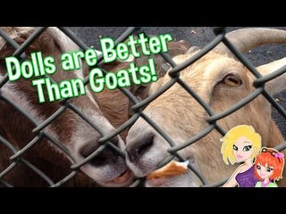 A Goat Spit on Mommy | The Doll Hunters