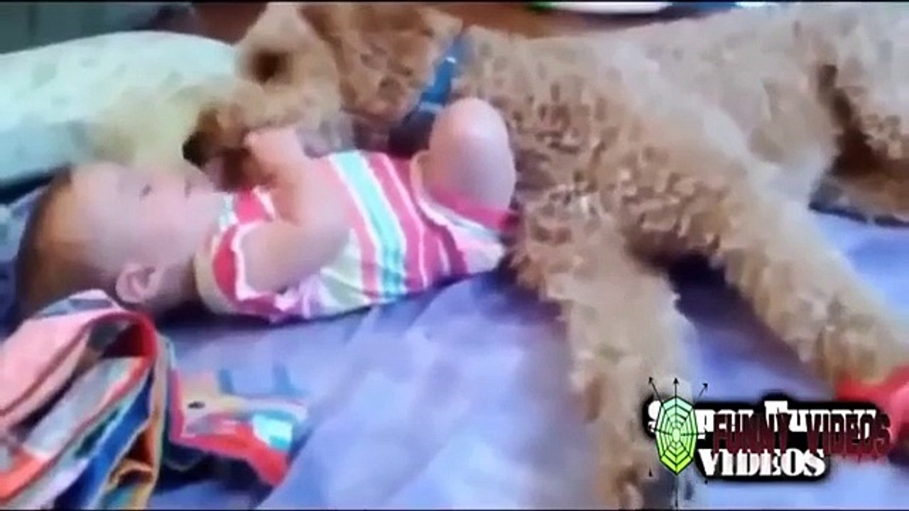Funny Babies Video | Cute Videos,Funny Baby Laughing compilation 2015