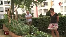 Développement durable : Des jardins partagés à Annemasse