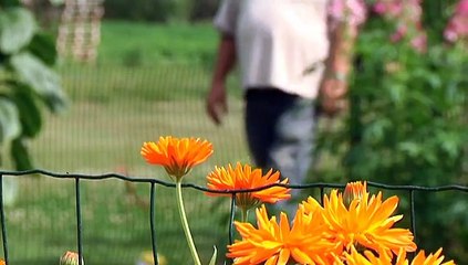 Mien Toentje: Moestuin in Oude Pekela - RTV Noord