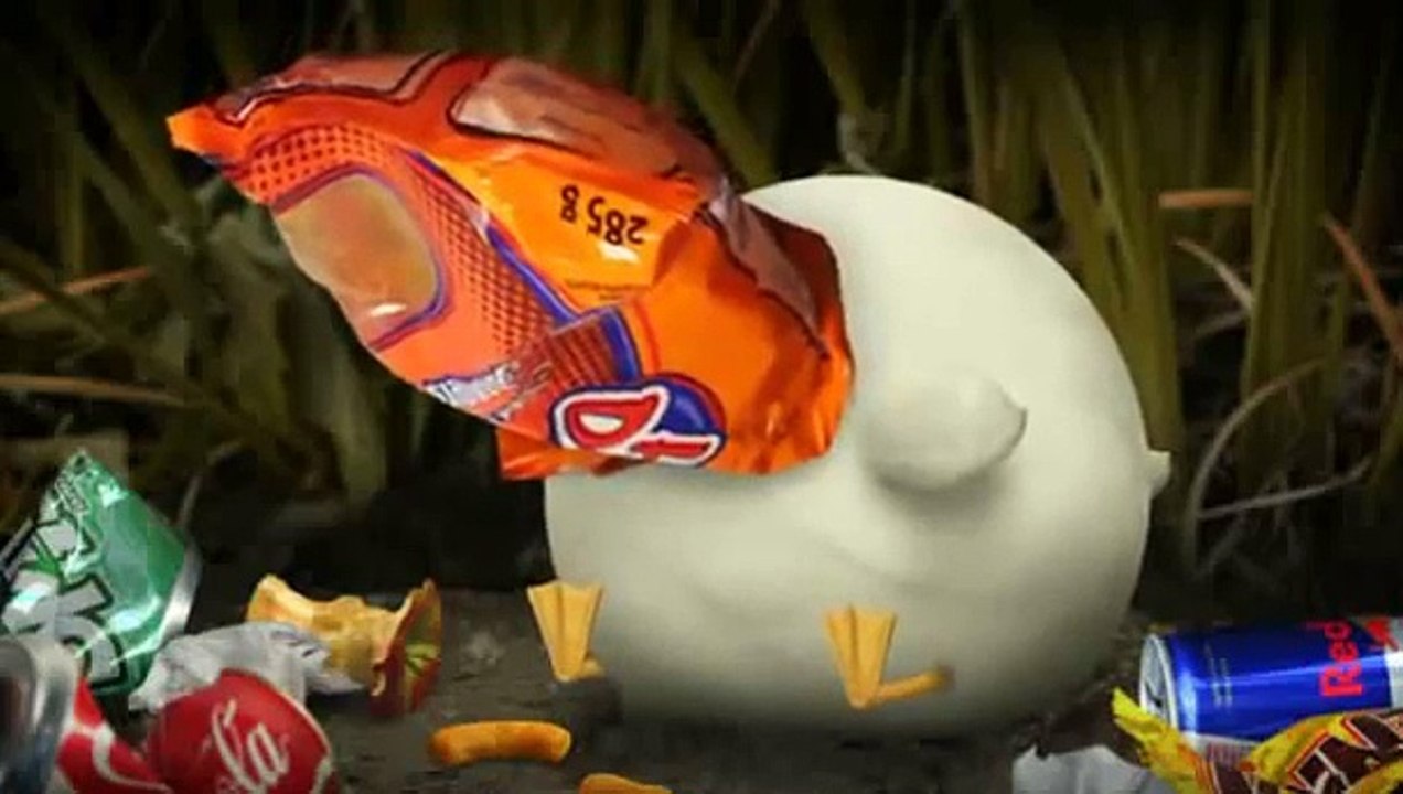 Les canards (Tetesaclaques.tv)