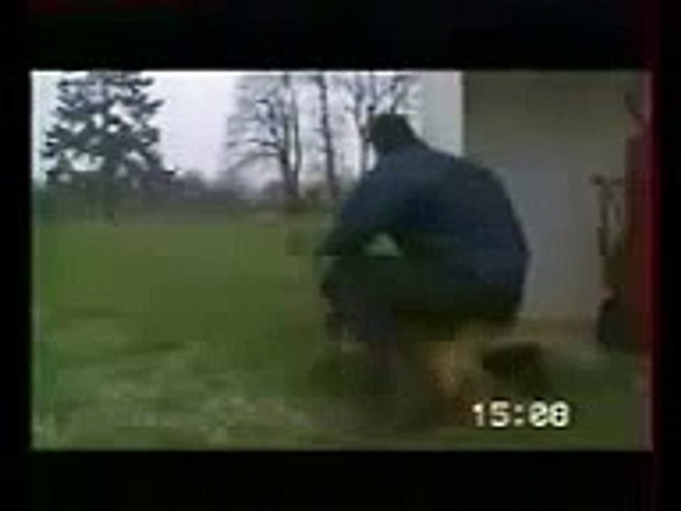كلاب بوليسيه