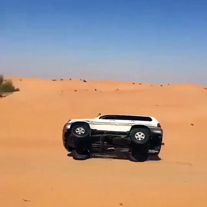 xd