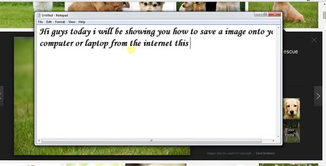 save a image from them internet
