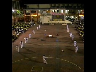 Crescent Girls' School Taekwondo Demonstration