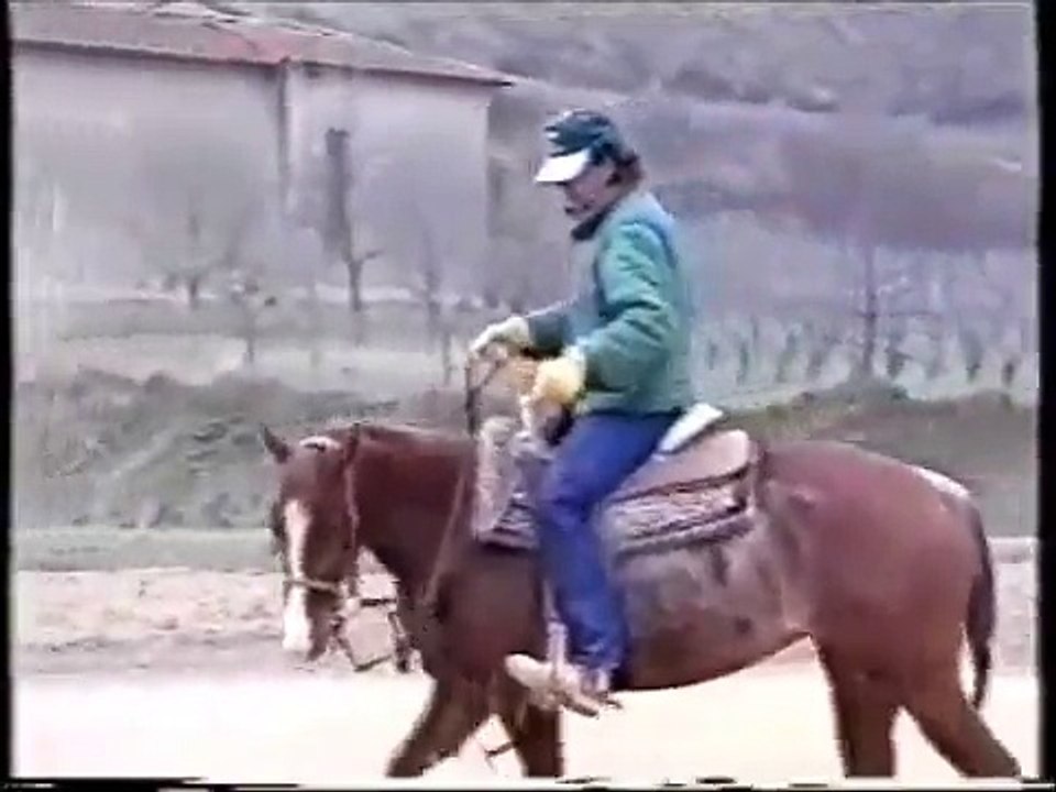 RDVideo - Marco Manzi - video 2 di 4 - Preparazione del cavallo alla disciplina del Reining