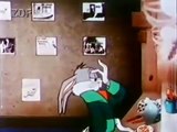 1230 DIBUJOS ANIMADOS BUGS BUNNY Y EL COYOTE Y EL CORRECAMINOS VOL 2 -DVD