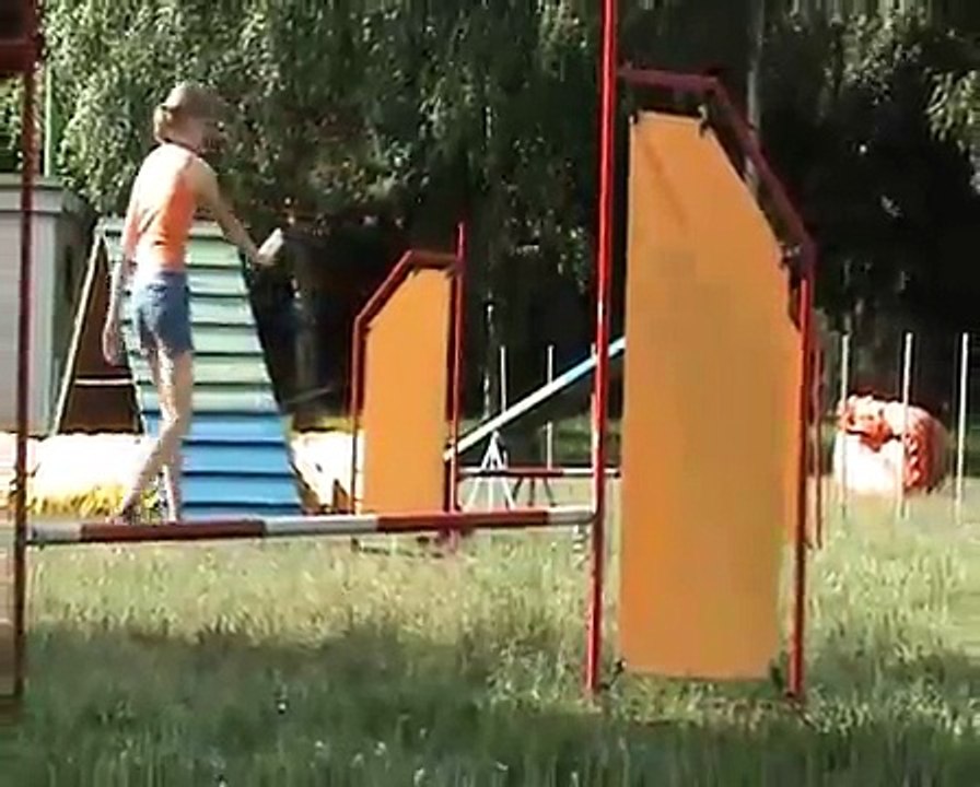 A3K Club Agility Video