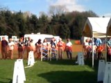 hilltop daredevils flyball team