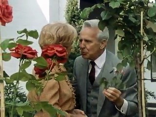 Polizeiinspektion 1 - Der Schatten