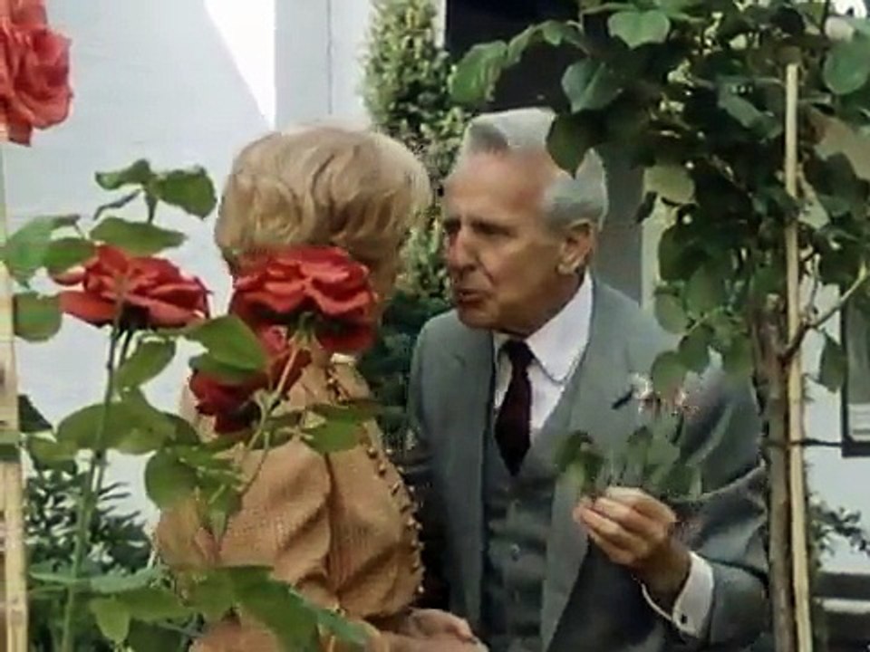 Polizeiinspektion 1 - Der Schatten