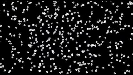 Cantate Dimanche après la Trinité Concert Gif sur Yvette 10nov1989