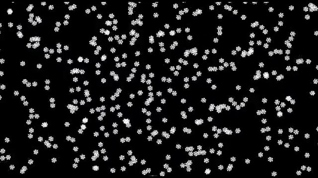 Cantate Dimanche après la Trinité Concert Gif sur Yvette 10nov1989