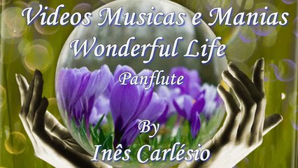 Wonderful Life-Panflute-C/ Texto- VIVER