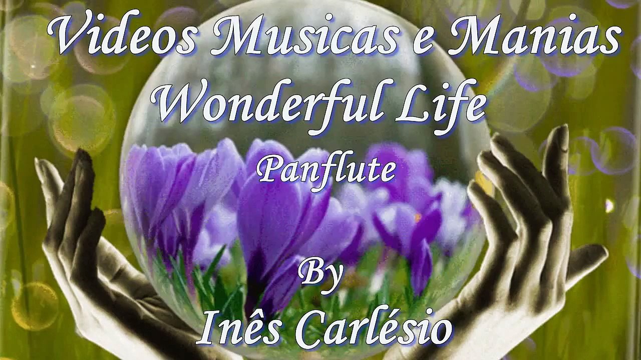 Wonderful Life-Panflute-C/ Texto- VIVER