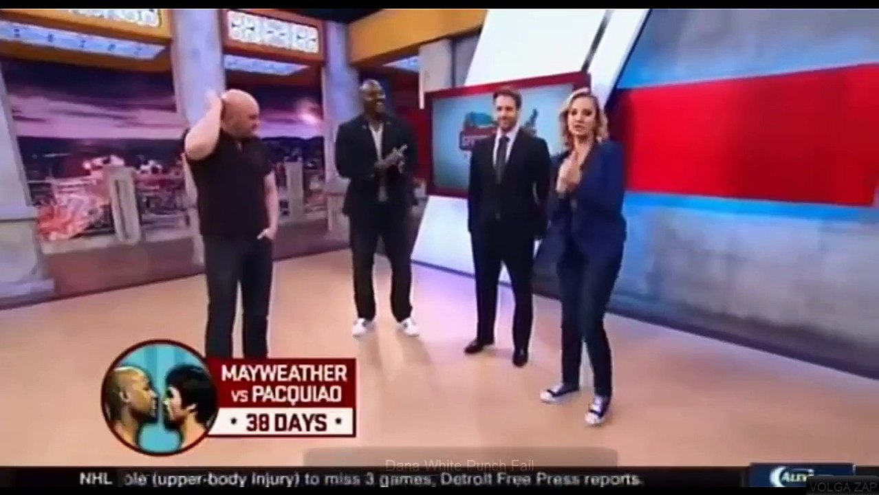 Dana White Punch Fail