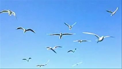 JEAN MICHEL JARRE - Oxygene VI