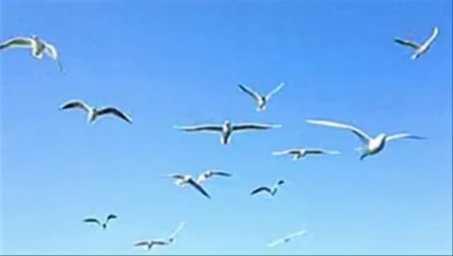 JEAN MICHEL JARRE - Oxygene VI