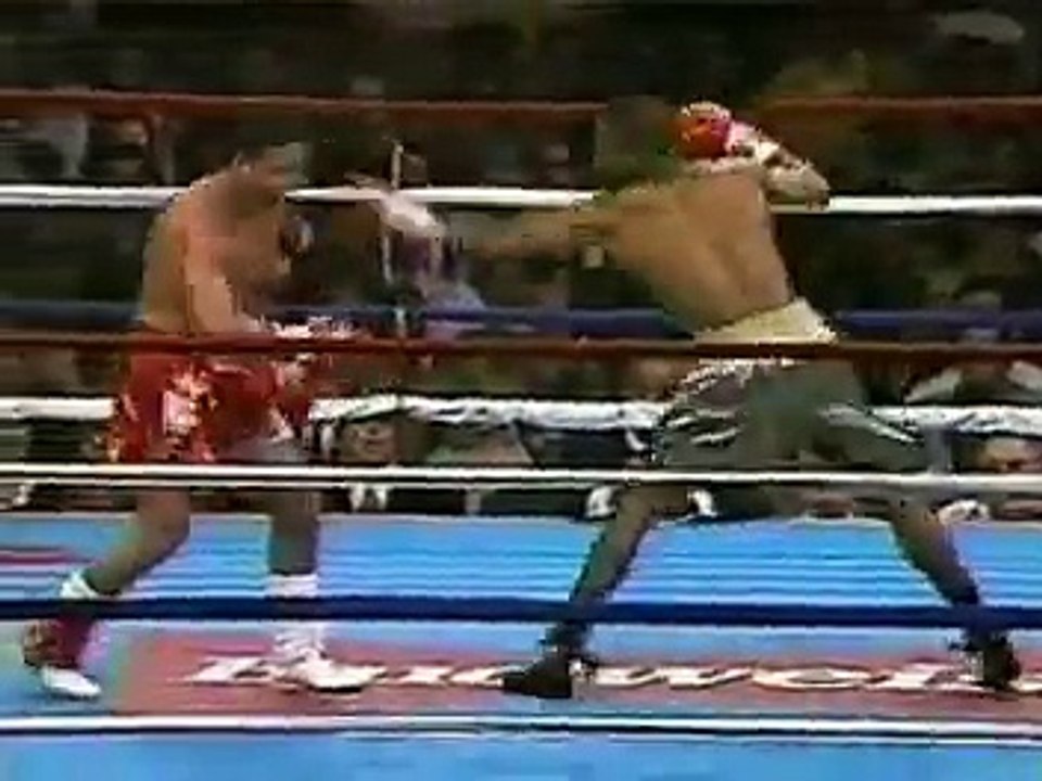 Roy Jones Jr. vs Vinny Pazienza (06-24-1995) (2/4)