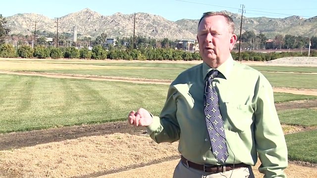 How to Grow Grass : How to Grow Bermuda Grass From Seed