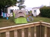 Diebische Elster am Camping Trez Rouz  Camaret Bretagne Finistère