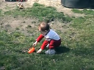 Small Child OWNED!! By Dogs