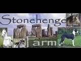 Stonehenge Farm.. Danes