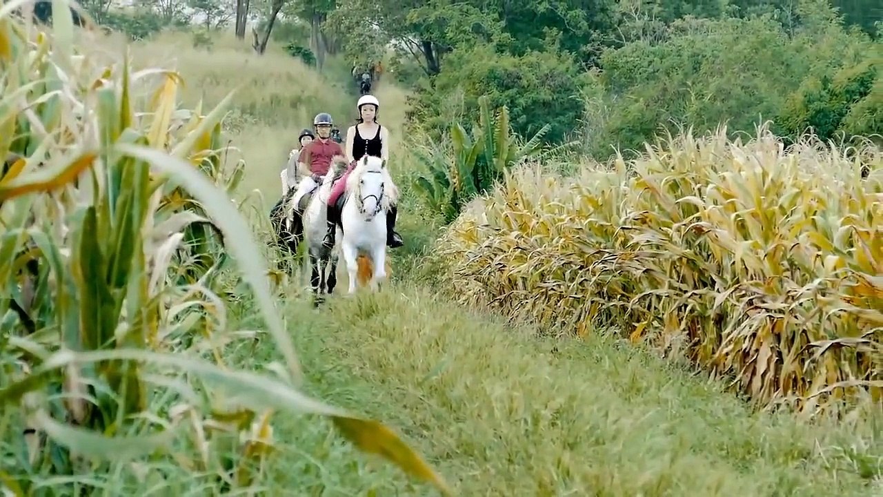 The Fantastic 4's Horse Trail Riding at Farm Mor Por, Khaoyai, Thailand