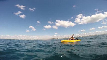 Up-close encounter with shark off Florida coast