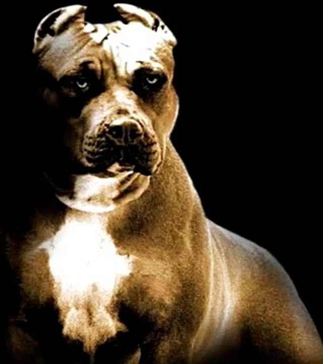 Instrumental Hip Hop Under Old School Piano Funebre Hs Beats 2015 Pista De Rap Uso Libre