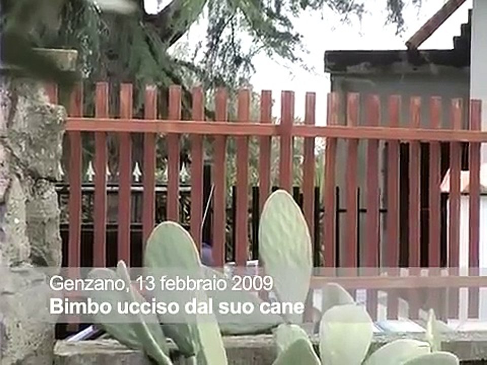 Genzano, bimbo ucciso dal suo cane