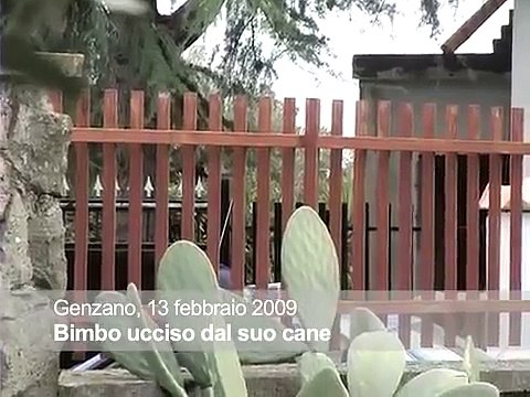 Genzano, bimbo ucciso dal suo cane