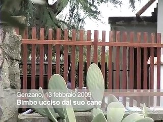 Genzano, bimbo ucciso dal suo cane