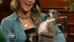 A Match Made In Heaven ? Larry Meets Jenna Marbles' Dog Kermit!