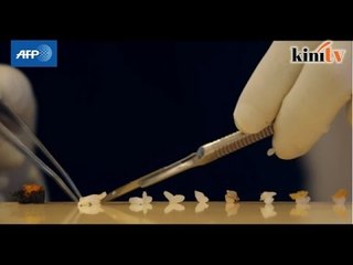 Origami, sushi mikro latih kesabaran doktor Jepun