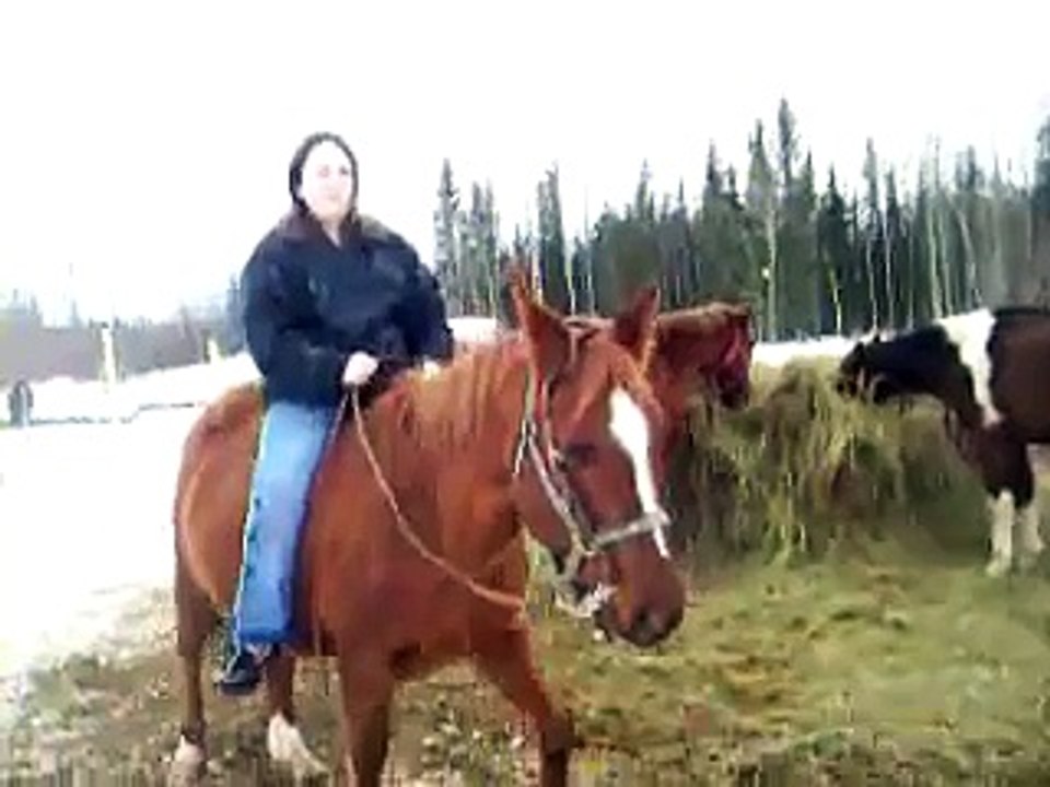 Giddy up horsey