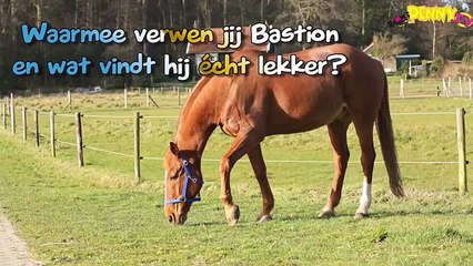 Afscheid van een rijpaard: Bastion
