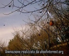 L'UFO pendolo del CUFOM fotografato ad Avellino nel 1996
