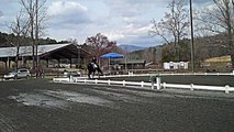 Musical Freestyle.Training Level. 67%. Susan Faulkner Evans and Mission Point. Dressage Tryon, NC