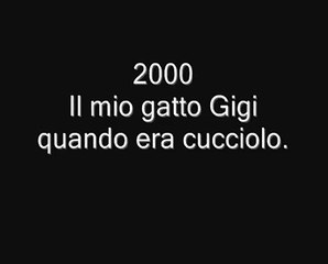 Download Video: Martino Ceretta e il gatto Gigi quando era cucciolo (2000)