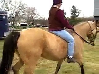 Bareback Horse Riding