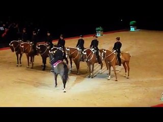 Le Cadre Noir de Saumur, Spectacle !