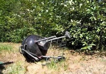 Faithful Grill Gets an Honourable Death