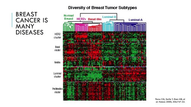 Dr. Don Dizon Presents: Breast Cancer Research - Personalized Treatment and Clinical Trials