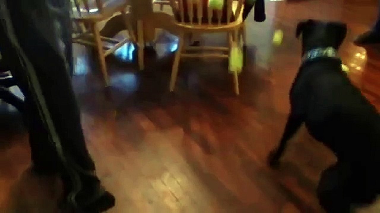Raining Tennis Balls