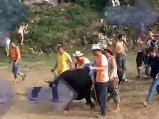 golub kukan finale grmeca