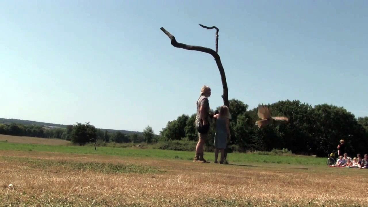 Bornholms Rovfugleshow