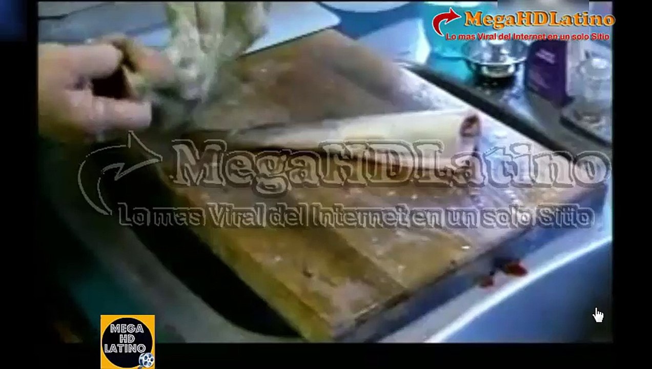 Pez inmortal vivo sin organos